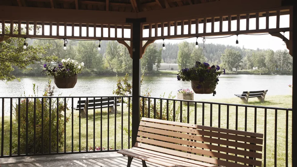 Belvedere-3-1280x720-1-980x551